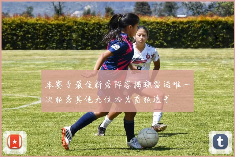 本赛季最佳新秀阵容揭晓雷诺唯一次轮秀其他九位均为首轮选手